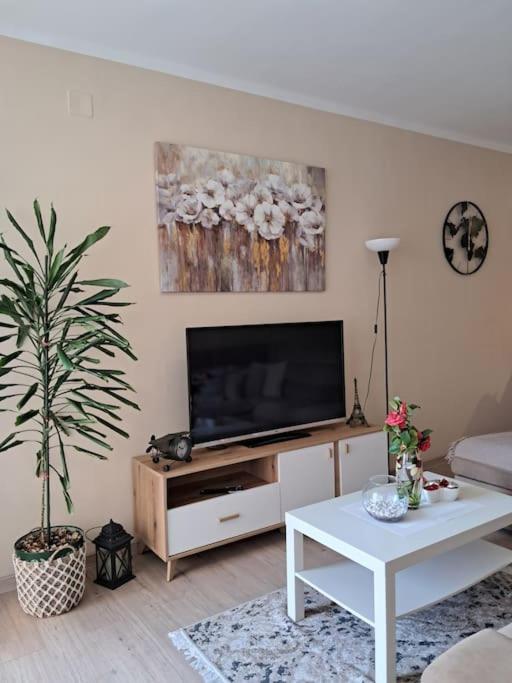 Holiday Home Apartment Budva Extérieur photo