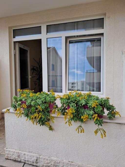 Holiday Home Apartment Budva Extérieur photo