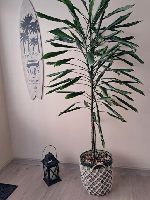 Holiday Home Apartment Budva Extérieur photo